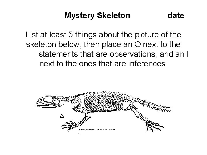Mystery Skeleton date List at least 5 things about the picture of the skeleton