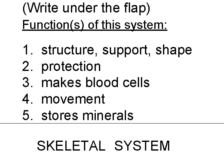 (Write under the flap) Function(s) of this system: 1. 2. 3. 4. 5. structure,