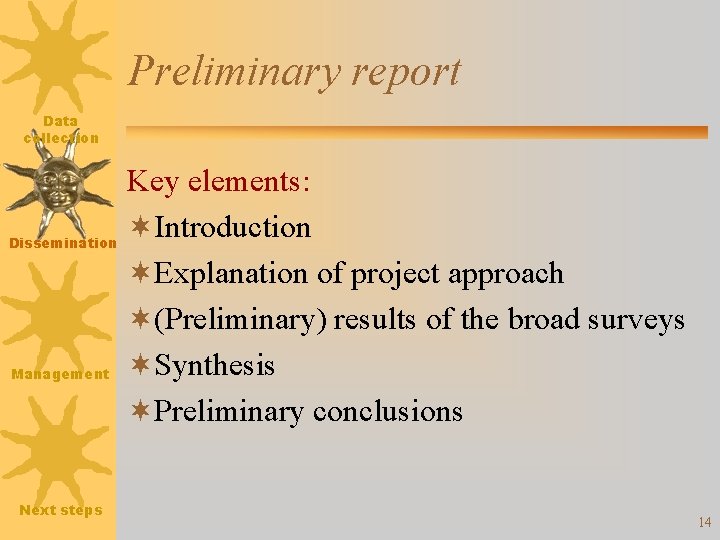 Preliminary report Data collection Key elements: ¬Introduction Dissemination ¬Explanation of project approach ¬(Preliminary) results
