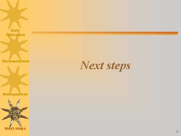 Data collection Dissemination Next steps Management Next steps 25 