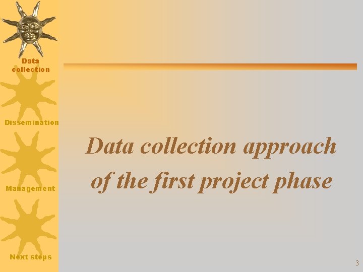 Data collection Dissemination Management Next steps Data collection approach of the first project phase