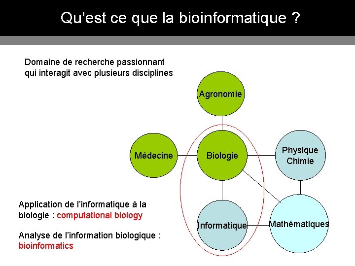 Qu’est ce que la bioinformatique ? Domaine de recherche passionnant qui interagit avec plusieurs