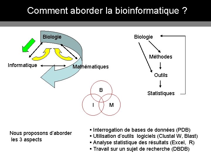 Comment aborder la bioinformatique ? Biologie Méthodes Informatique Mathématiques Outils B I Nous proposons