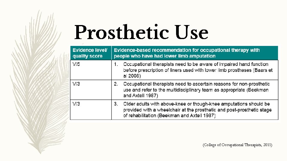 Prosthetic Use (College of Occupational Therapists, 2011) 