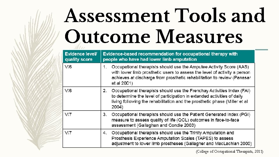 Assessment Tools and Outcome Measures (College of Occupational Therapists, 2011) 