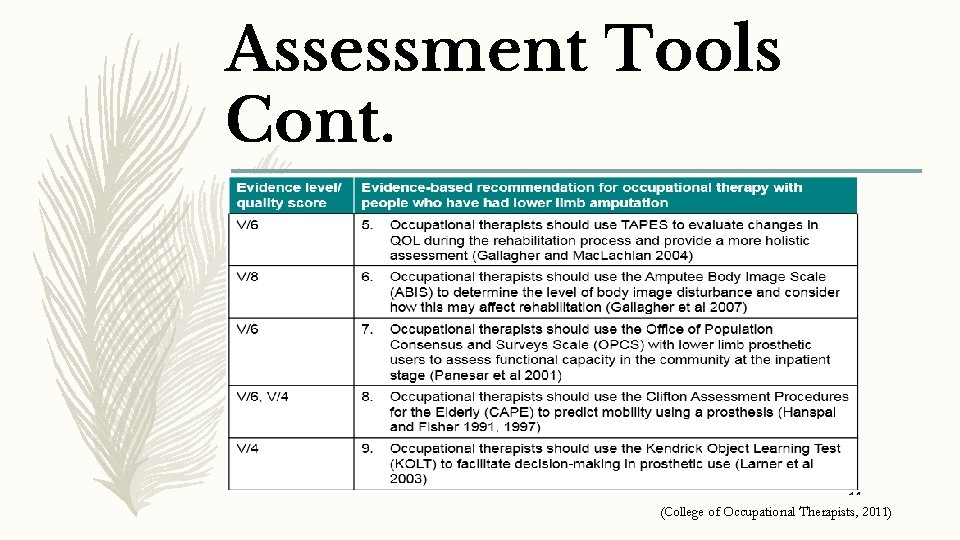 Assessment Tools Cont. (College of Occupational Therapists, 2011) 