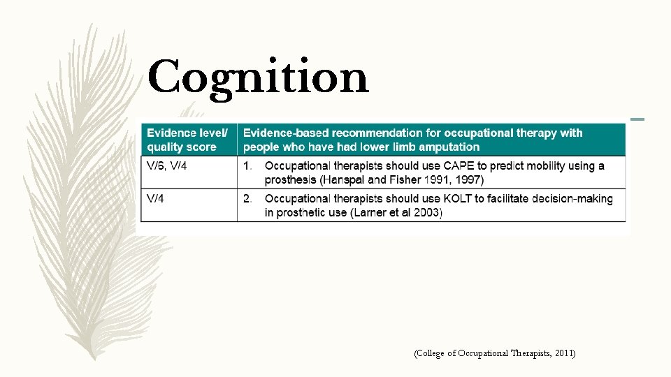 Cognition (College of Occupational Therapists, 2011) 