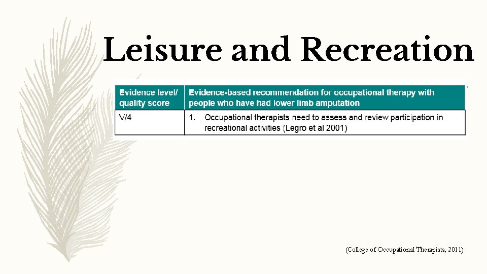 Leisure and Recreation (College of Occupational Therapists, 2011) 