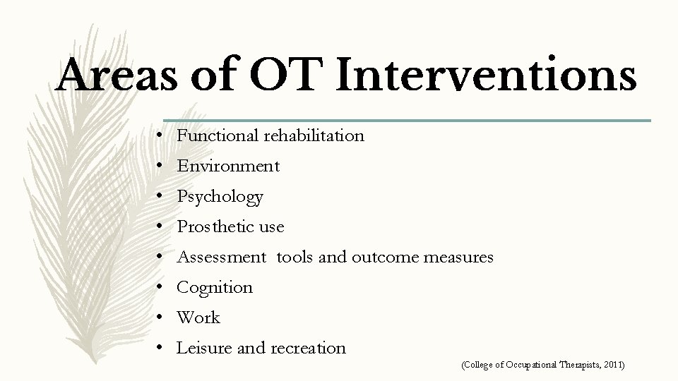 Areas of OT Interventions • Functional rehabilitation • Environment • Psychology • Prosthetic use