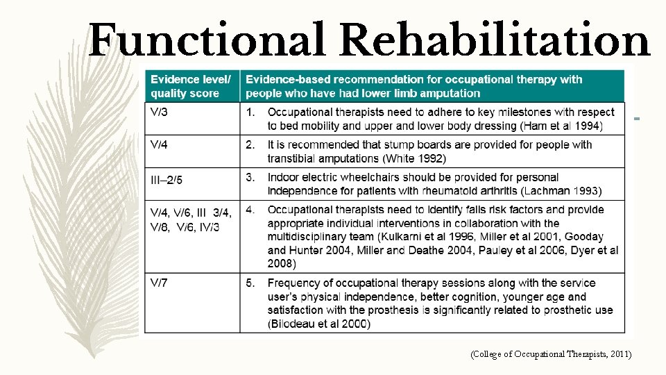 Functional Rehabilitation (College of Occupational Therapists, 2011) 