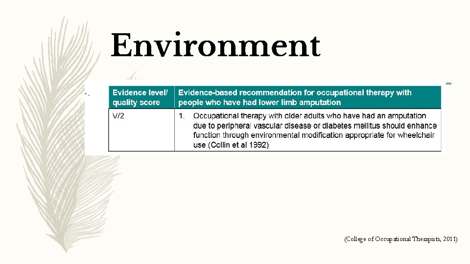 Environment (College of Occupational Therapists, 2011) 