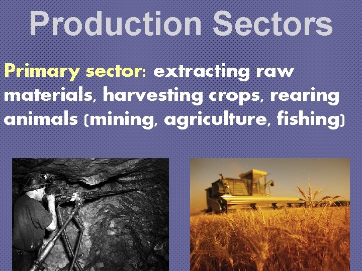 Production Sectors Primary sector: extracting raw materials, harvesting crops, rearing animals (mining, agriculture, fishing)