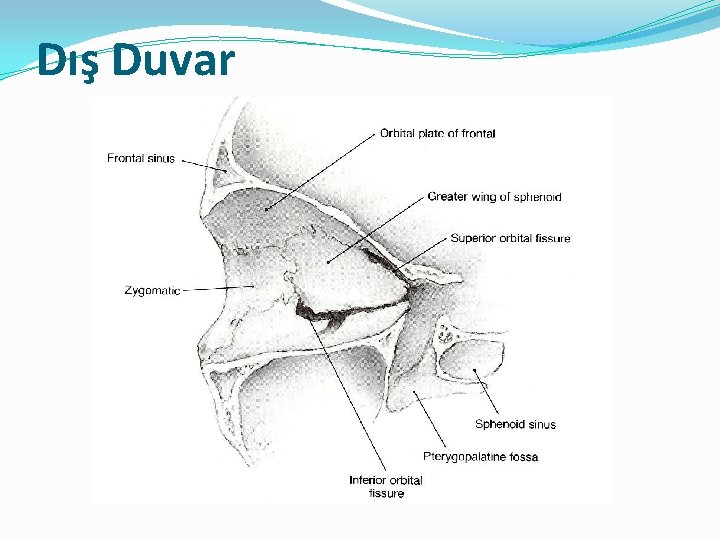 Dış Duvar 