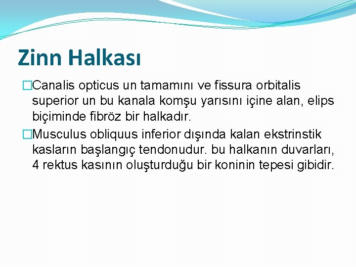 Zinn Halkası �Canalis opticus un tamamını ve fissura orbitalis superior un bu kanala komşu