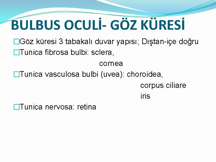 BULBUS OCULİ- GÖZ KÜRESİ �Göz küresi 3 tabakalı duvar yapısı; Dıştan-içe doğru �Tunica fibrosa