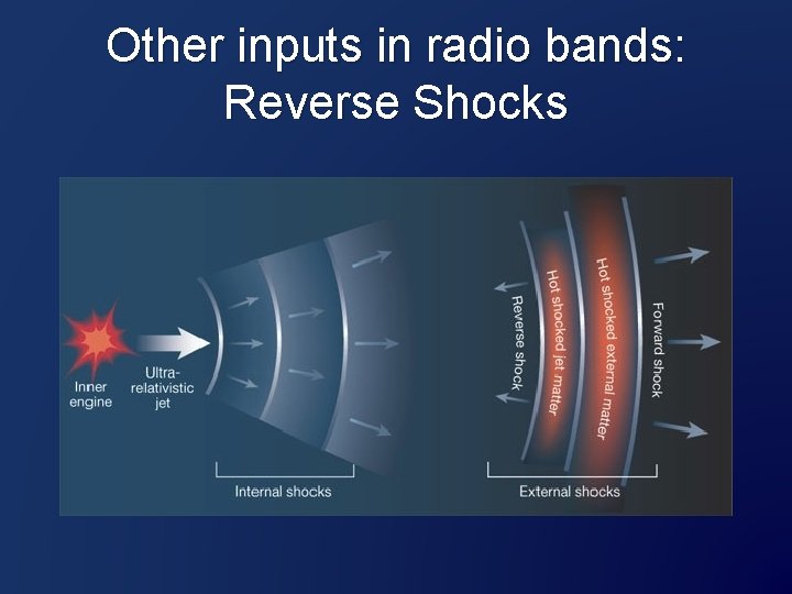 Other inputs in radio bands: Reverse Shocks 