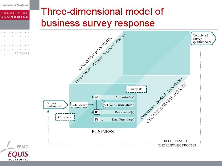 Three-dimensional model of business survey response 