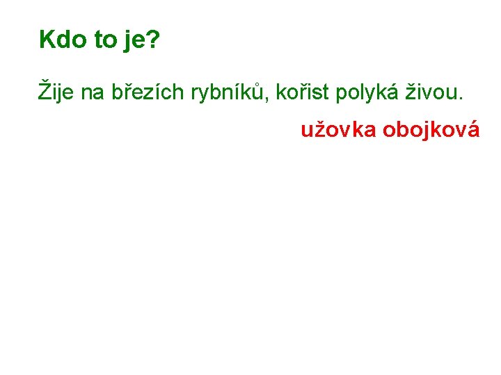 Kdo to je? Žije na březích rybníků, kořist polyká živou. užovka obojková 