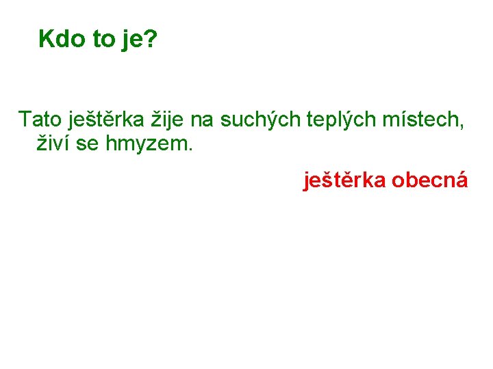 Kdo to je? Tato ještěrka žije na suchých teplých místech, živí se hmyzem. ještěrka