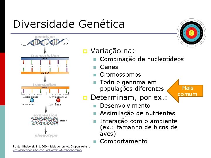 Diversidade Genética p Variação na: n n p Determinam, por ex. : n n