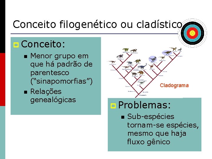 Conceito filogenético ou cladístico p Conceito: n Menor grupo em que há padrão de