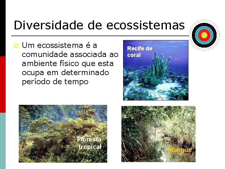 Diversidade de ecossistemas p Um ecossistema é a comunidade associada ao ambiente físico que