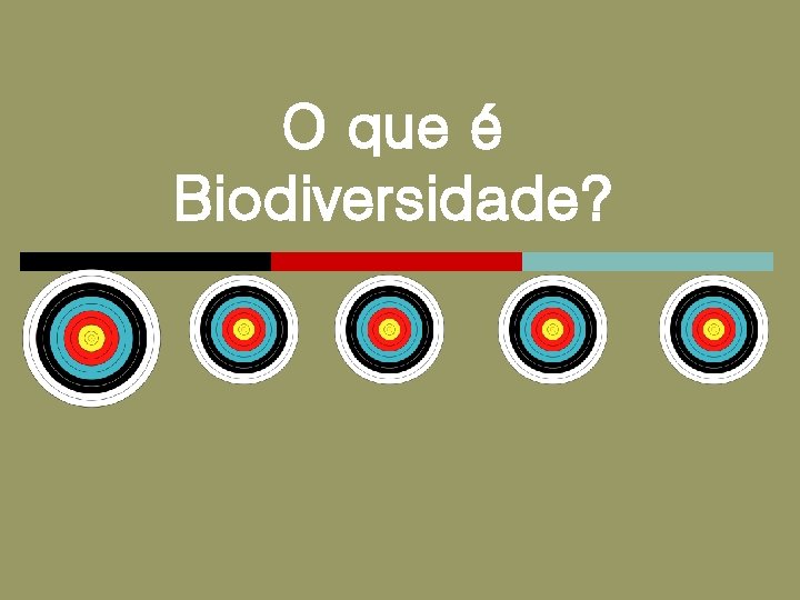 O que é Biodiversidade? 
