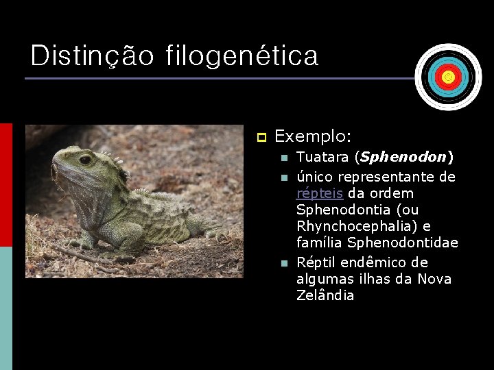 Distinção filogenética p Exemplo: n n n Tuatara (Sphenodon) único representante de répteis da