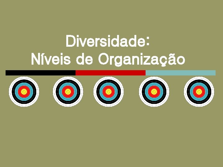 Diversidade: Níveis de Organização 