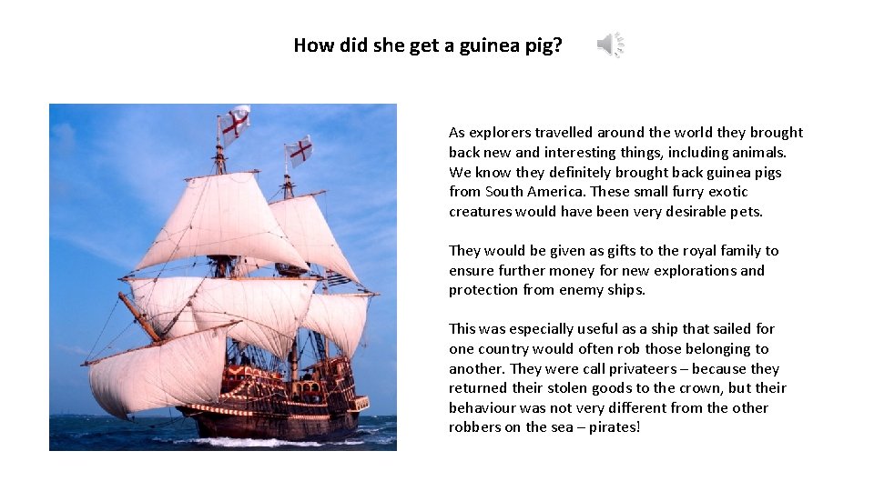 How did she get a guinea pig? As explorers travelled around the world they
