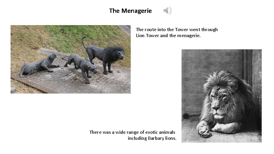 The Menagerie The route into the Tower went through Lion Tower and the menagerie.