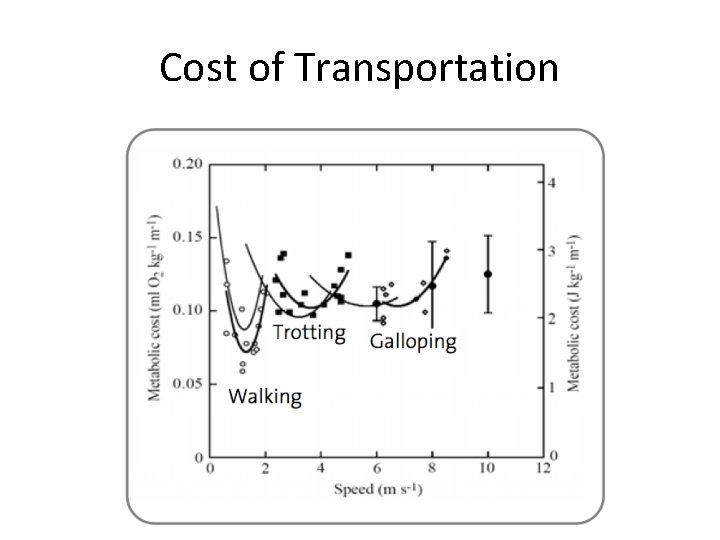 Cost of Transportation 