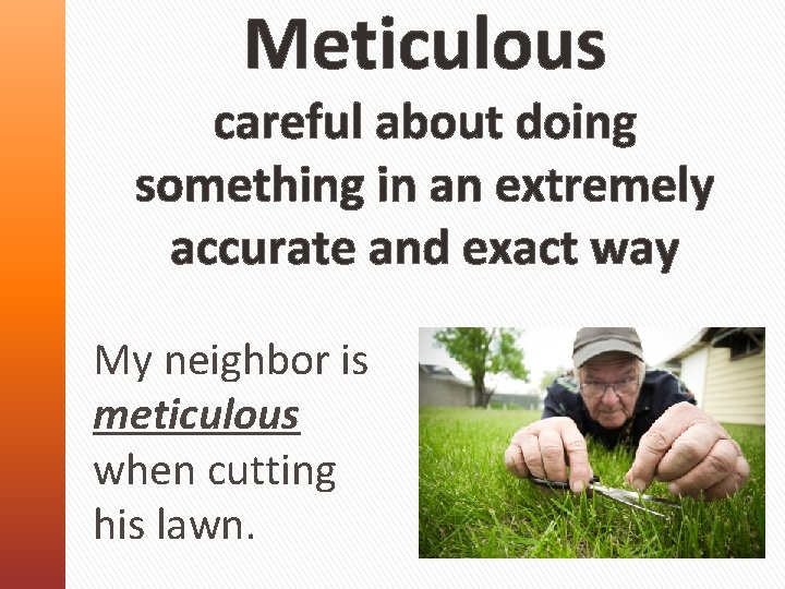 Meticulous careful about doing something in an extremely accurate and exact way My neighbor