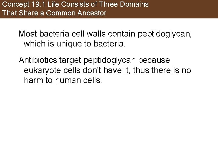 Concept 19. 1 Life Consists of Three Domains That Share a Common Ancestor Most