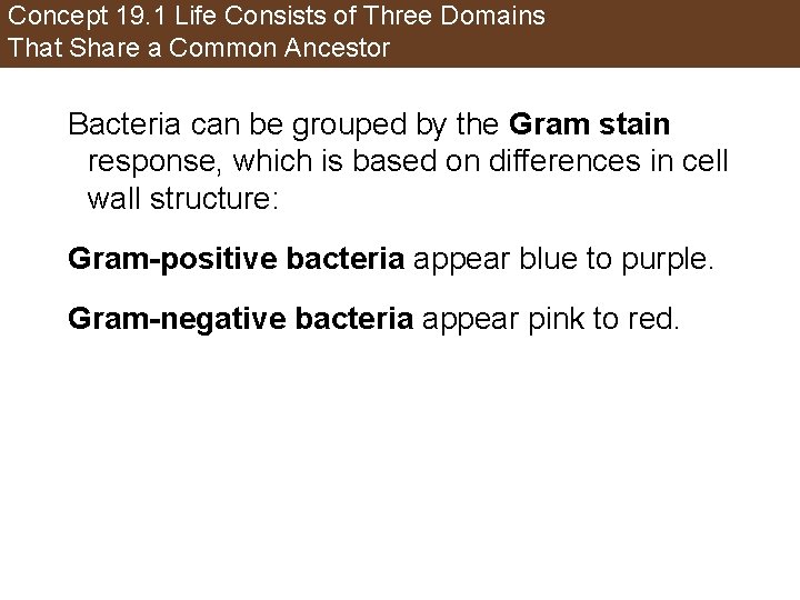 Concept 19. 1 Life Consists of Three Domains That Share a Common Ancestor Bacteria