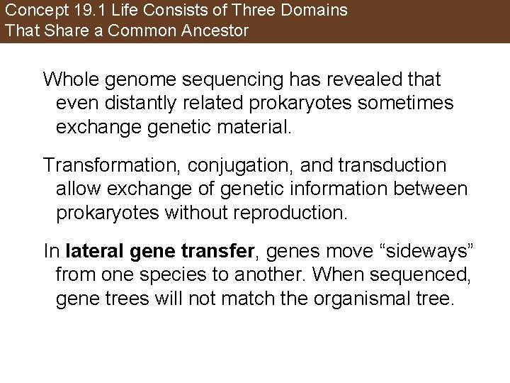 Concept 19. 1 Life Consists of Three Domains That Share a Common Ancestor Whole