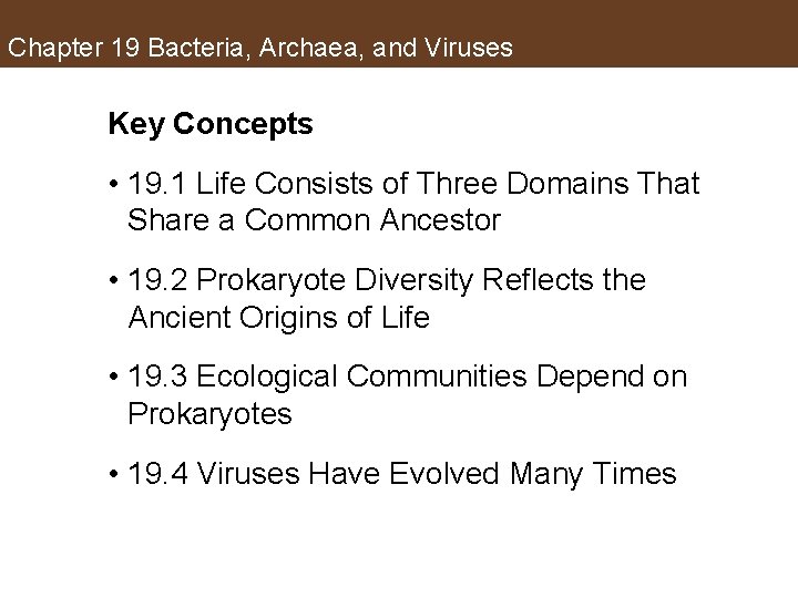 Chapter 19 Bacteria, Archaea, and Viruses Key Concepts • 19. 1 Life Consists of