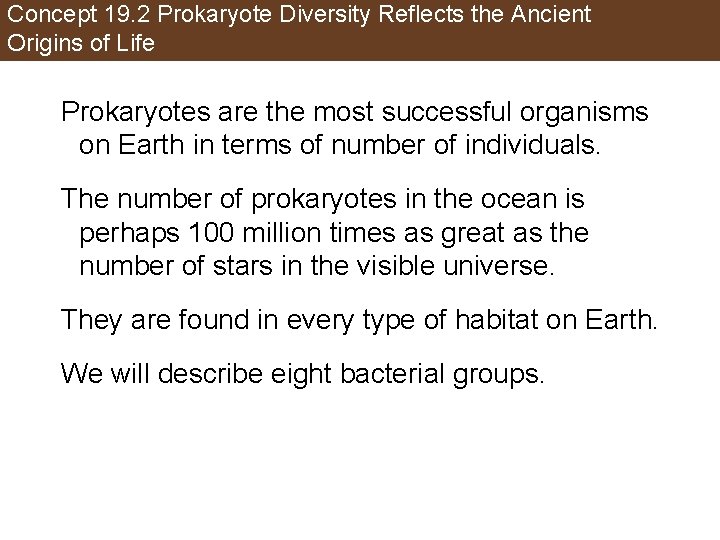 Concept 19. 2 Prokaryote Diversity Reflects the Ancient Origins of Life Prokaryotes are the