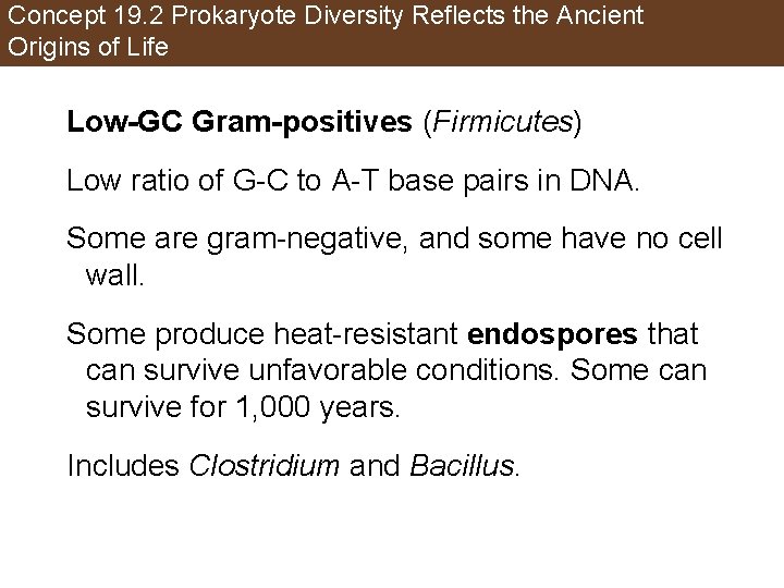 Concept 19. 2 Prokaryote Diversity Reflects the Ancient Origins of Life Low-GC Gram-positives (Firmicutes)