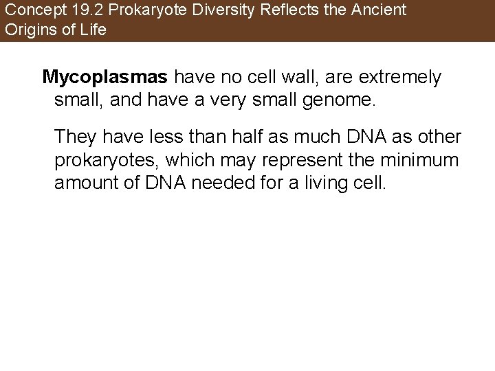 Concept 19. 2 Prokaryote Diversity Reflects the Ancient Origins of Life Mycoplasmas have no