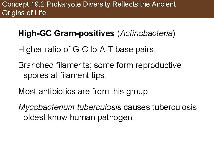 Concept 19. 2 Prokaryote Diversity Reflects the Ancient Origins of Life High-GC Gram-positives (Actinobacteria)