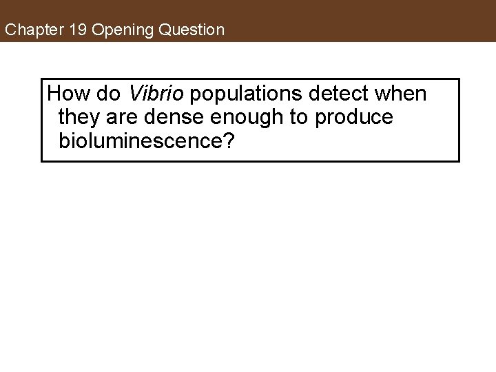 Chapter 19 Opening Question How do Vibrio populations detect when they are dense enough