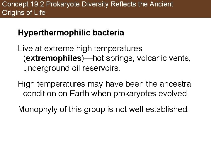 Concept 19. 2 Prokaryote Diversity Reflects the Ancient Origins of Life Hyperthermophilic bacteria Live