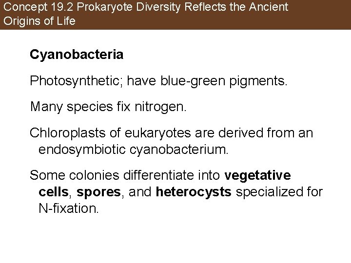 Concept 19. 2 Prokaryote Diversity Reflects the Ancient Origins of Life Cyanobacteria Photosynthetic; have