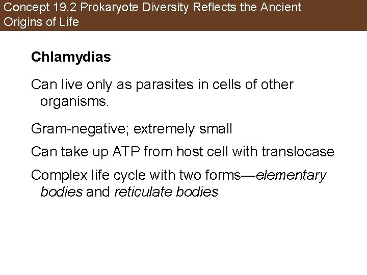 Concept 19. 2 Prokaryote Diversity Reflects the Ancient Origins of Life Chlamydias Can live