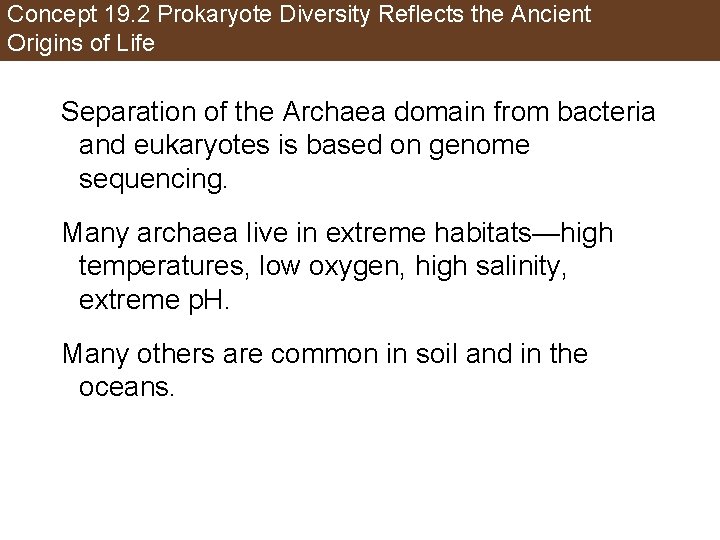 Concept 19. 2 Prokaryote Diversity Reflects the Ancient Origins of Life Separation of the