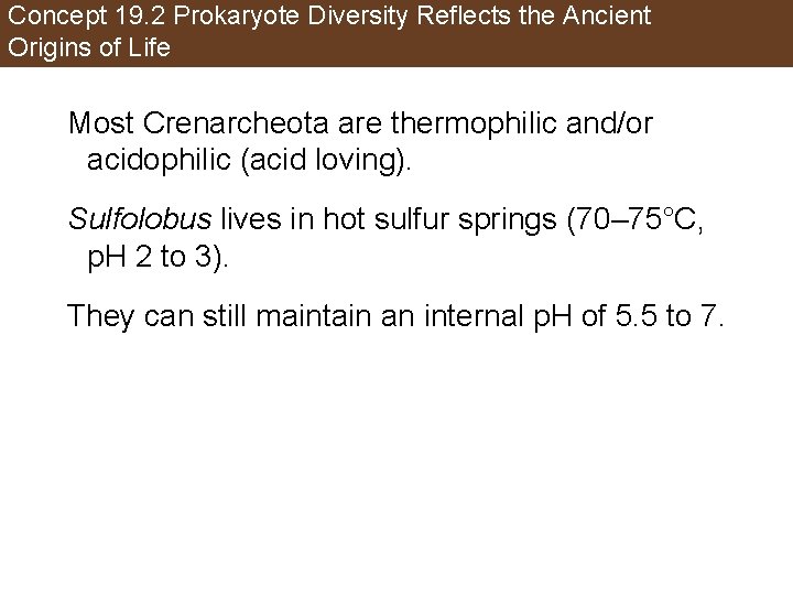 Concept 19. 2 Prokaryote Diversity Reflects the Ancient Origins of Life Most Crenarcheota are