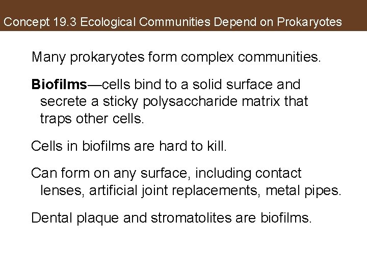 Concept 19. 3 Ecological Communities Depend on Prokaryotes Many prokaryotes form complex communities. Biofilms—cells