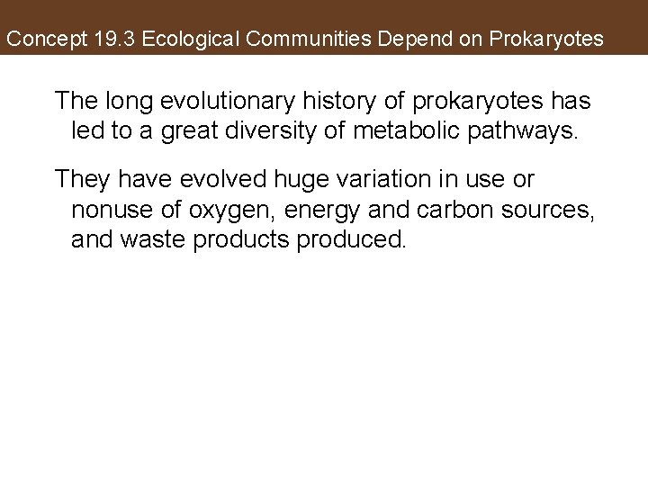 Concept 19. 3 Ecological Communities Depend on Prokaryotes The long evolutionary history of prokaryotes