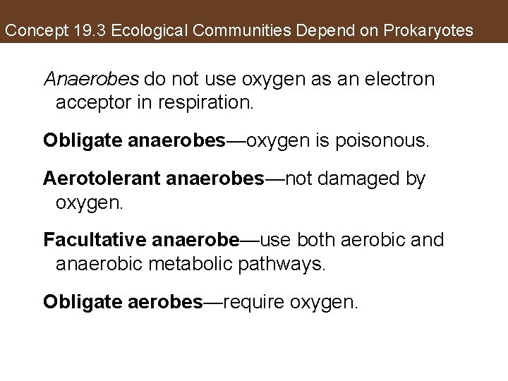 Concept 19. 3 Ecological Communities Depend on Prokaryotes Anaerobes do not use oxygen as